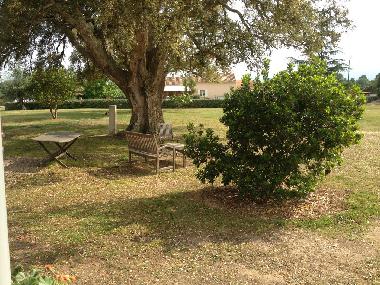 Maison de vacances /en/au Solenzara (Corse-du-Sud)ou appartement ou maison de vacances