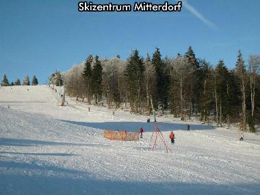 Maison de vacances �/en/au Mitterfirmiansreut (Mitterdorf) (Niederbayern)ou appartement ou maison de vacances