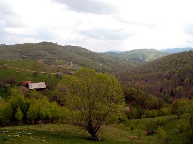 Chalet �/en/au Vale (Sibiu)ou appartement ou maison de vacances
