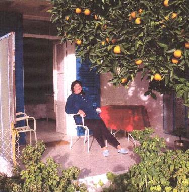 La terrasse couverte