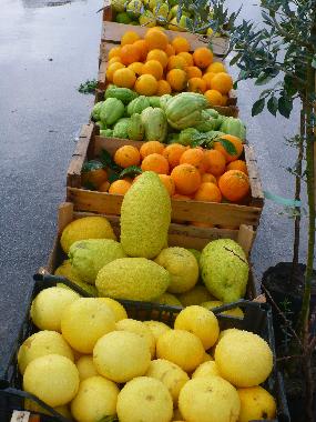 Appartement de vacances /en/au Tonnarella (Messina)ou appartement ou maison de vacances