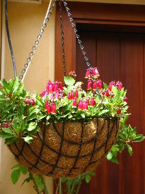 Villa �/en/au zikhron yaakov (HaMerkaz (Central))ou appartement ou maison de vacances