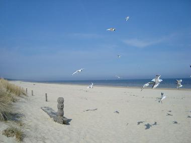 Maison de vacances /en/au Karlshagen (Ostsee-Inseln)ou appartement ou maison de vacances