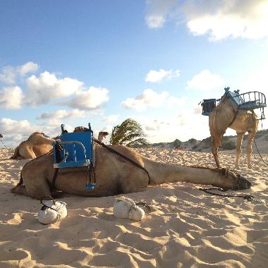 Appartement de vacances �/en/au Natal (Rio Grande do Norte)ou appartement ou maison de vacances