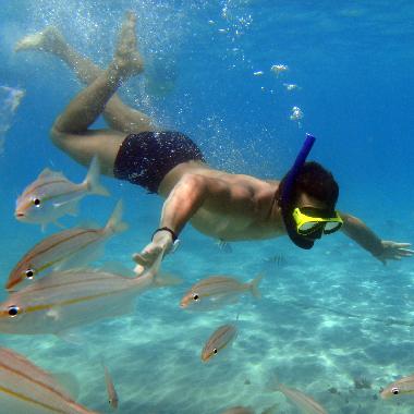 Appartement de vacances �/en/au Natal (Rio Grande do Norte)ou appartement ou maison de vacances