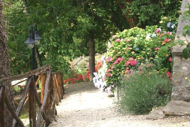 Maison de vacances /en/au Arsicci (Arezzo)ou appartement ou maison de vacances