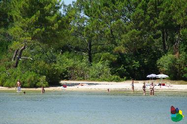 Appartement de vacances �/en/au cazaux (Gironde)ou appartement ou maison de vacances