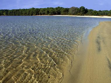 Appartement de vacances �/en/au cazaux (Gironde)ou appartement ou maison de vacances