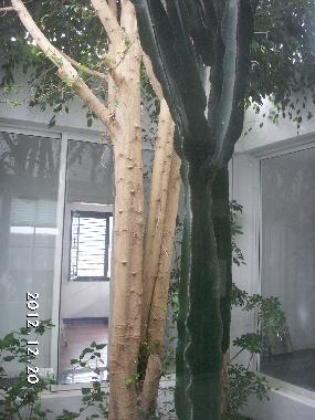 Appartement de vacances �/en/au El Islote (Lanzarote)ou appartement ou maison de vacances