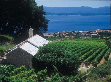 Appartement de vacances /en/au Island of Brac -Bol (Splitsko-Dalmatinska)ou appartement ou maison de vacances