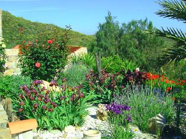 Appartement de vacances /en/au Purias (Murcia)ou appartement ou maison de vacances