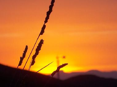 Appartement de vacances /en/au Purias (Murcia)ou appartement ou maison de vacances