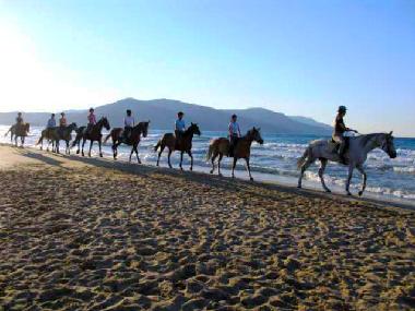 Villa �/en/au chania (Chania)ou appartement ou maison de vacances