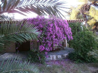 Maison de vacances /en/au Aegina Island (Kyklades)ou appartement ou maison de vacances