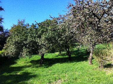 Maison de vacances �/en/au Newry (Northern Ireland)ou appartement ou maison de vacances