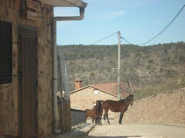 Maison de vacances /en/au Buenache de la Sierra (Cuenca)ou appartement ou maison de vacances