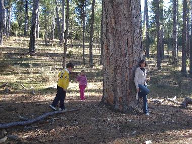 Maison de vacances /en/au Buenache de la Sierra (Cuenca)ou appartement ou maison de vacances