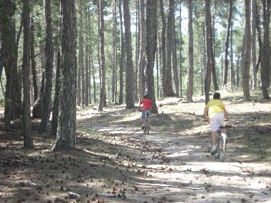Appartement de vacances /en/au Buenache de la Sierra (Cuenca)ou appartement ou maison de vacances