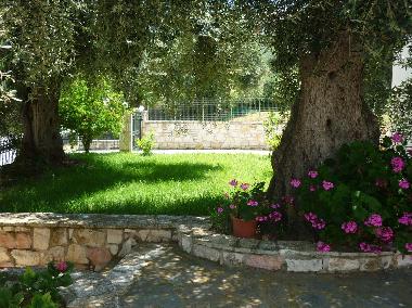 Appartement de vacances �/en/au Sivota, thesprotias (Thesprotia)ou appartement ou maison de vacances