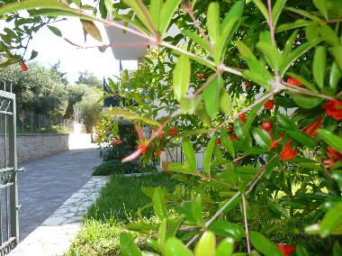 Appartement de vacances �/en/au Sivota, thesprotias (Thesprotia)ou appartement ou maison de vacances