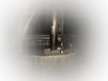 Maison de vacances /en/au Brugge/Oedelem (Flandre)ou appartement ou maison de vacances