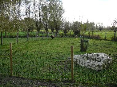 Maison de vacances /en/au Brugge/Oedelem (Flandre)ou appartement ou maison de vacances