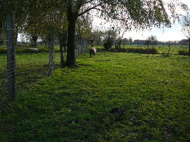 Maison de vacances /en/au Brugge/Oedelem (Flandre)ou appartement ou maison de vacances