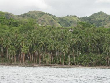 Maison de vacances �/en/au Lotloton (Siquijor)ou appartement ou maison de vacances