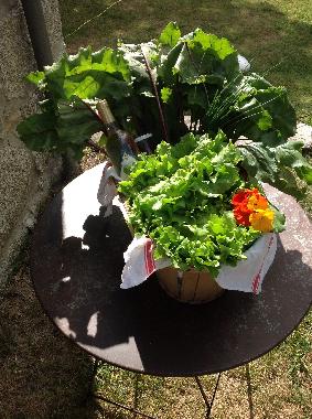 Un panier fracheur du jardin offert  votre arrive