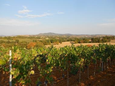 Maison de vacances /en/au Scansano (Grosseto)ou appartement ou maison de vacances