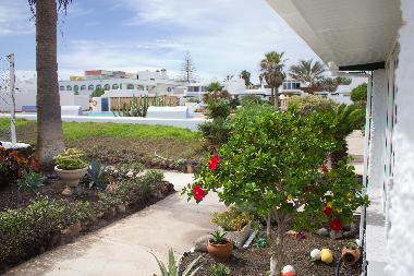 Appartement de vacances /en/au Poris de Abona, Arico, S/C de Tenerife (Teneriffa)ou appartement ou maison de vacances