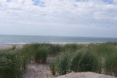 Maison de vacances �/en/au Burgh-Haamstede (Zeeland)ou appartement ou maison de vacances