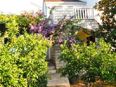 Maison de vacances /en/au Milna (Splitsko-Dalmatinska)ou appartement ou maison de vacances