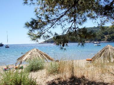 Appartement de vacances �/en/au Saplunara (Dubrovacko-Neretvanska)ou appartement ou maison de vacances