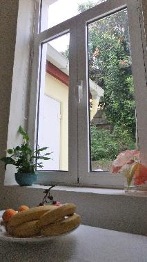 Maison de vacances /en/au Porto (Norte)ou appartement ou maison de vacances