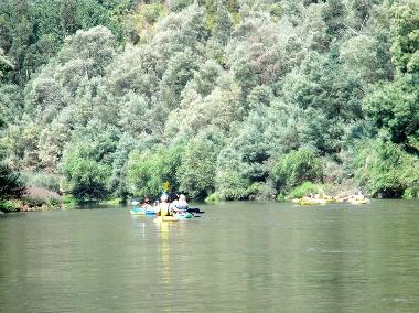 Maison de vacances �/en/au Coja (Serra da Estrela)ou appartement ou maison de vacances