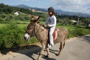 Maison de vacances �/en/au Coja (Serra da Estrela)ou appartement ou maison de vacances