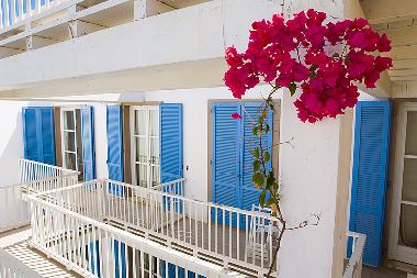 Appartement de vacances �/en/au sal rei (Boa Vista)ou appartement ou maison de vacances