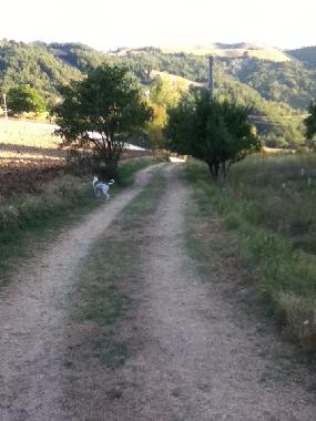 Maison de vacances /en/au force  (Ascoli Piceno)ou appartement ou maison de vacances