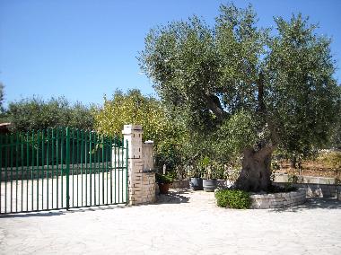 Appartement de vacances /en/au Castellana Grotte (Bari)ou appartement ou maison de vacances