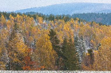Maison de vacances /en/au Gieubel (Thringer Wald)ou appartement ou maison de vacances