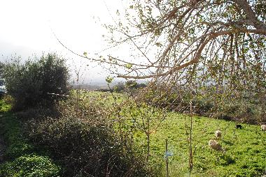 Maison de vacances /en/au Dramia (Chania)ou appartement ou maison de vacances