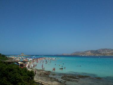 Maison de vacances /en/au Sassari (Sassari)ou appartement ou maison de vacances