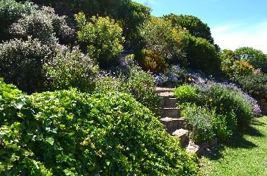 Maison de vacances �/en/au Glencairn (Western Cape)ou appartement ou maison de vacances