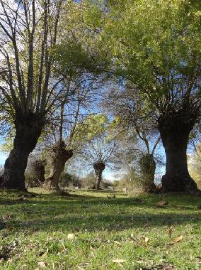 Maison de vacances �/en/au campillo de azaba (Salamanca)ou appartement ou maison de vacances