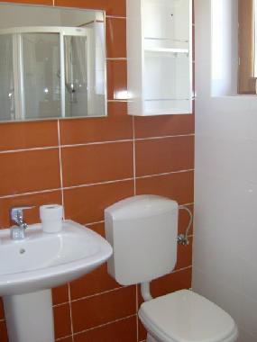 Villa /en/au Zbandaj (Istarska)ou appartement ou maison de vacances