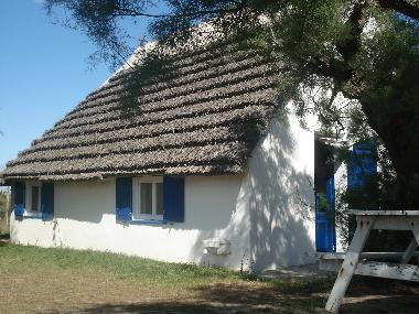 Maison de vacances /en/au Saintes Maries de la Mer (Bouches-du-Rhne)ou appartement ou maison de vacances