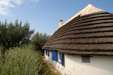 Maison de vacances /en/au Saintes Maries de la Mer (Bouches-du-Rhne)ou appartement ou maison de vacances