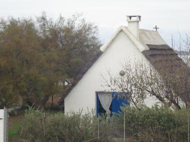 Maison de vacances /en/au Saintes Maries de la Mer (Bouches-du-Rhne)ou appartement ou maison de vacances
