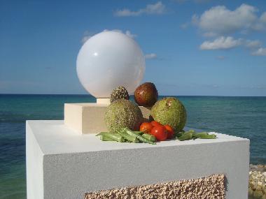 Maison de vacances �/en/au Montego Bay (Saint James)ou appartement ou maison de vacances